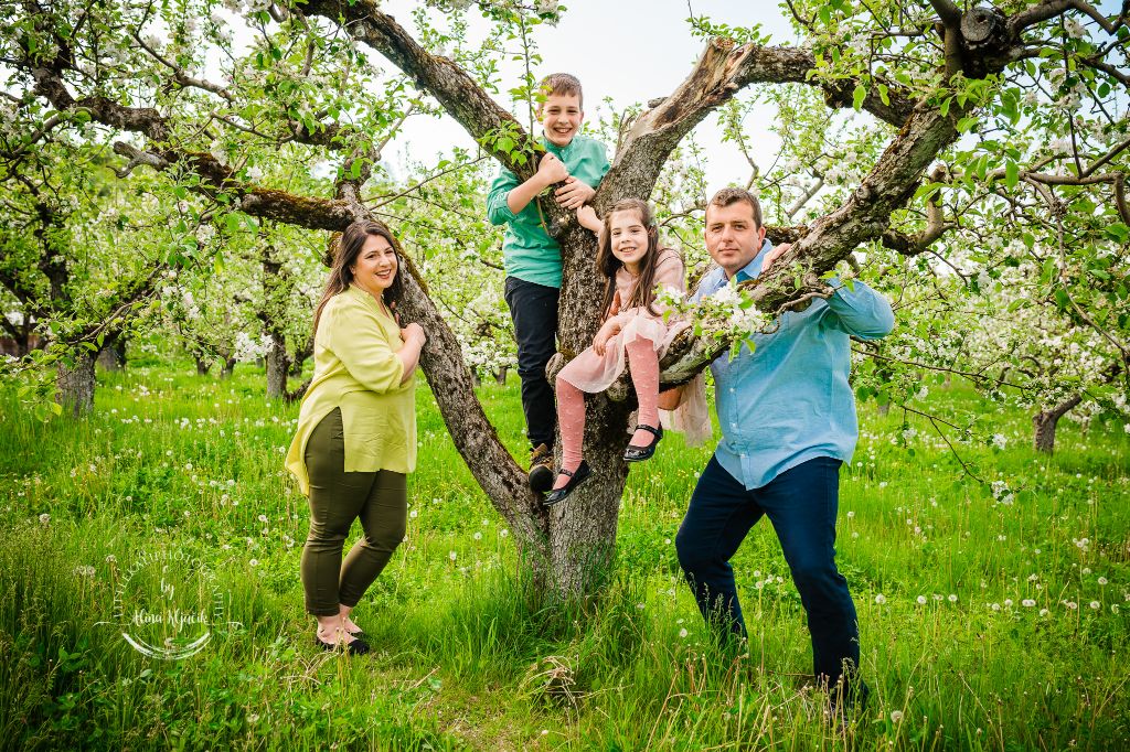 Fotografie de familie in natura, fotografie lavanda, fotografie rapita, fotografie livada meri