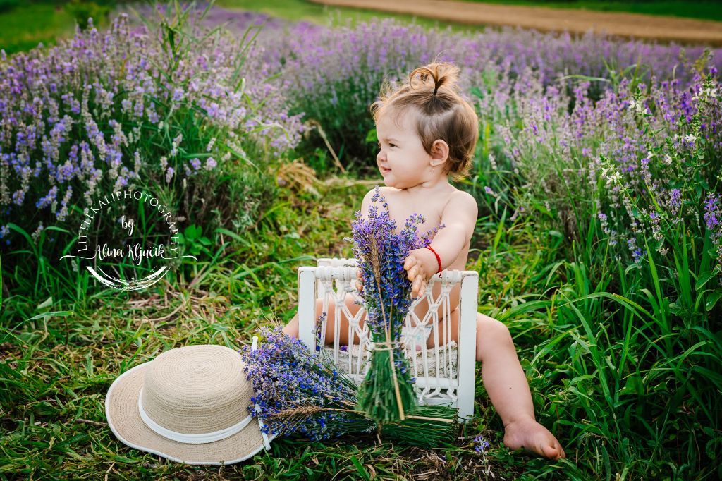 Fotografie de familie in natura, fotografie lavanda, fotografie rapita, fotografie livada meri