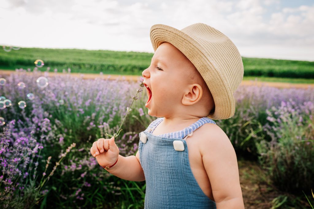 Fotografie de familie in natura, fotografie lavanda, fotografie rapita, fotografie livada meri
